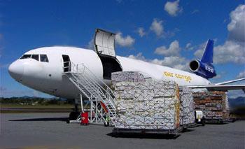 Sunnforest Airfreight